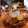 Beer Brewery Tours
